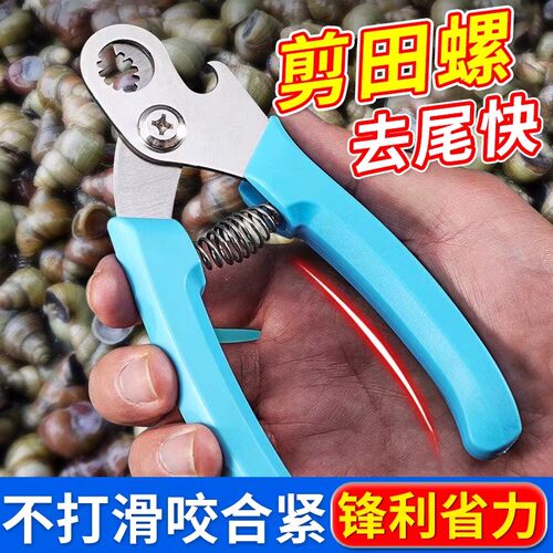 田螺剪尾神器剪螺丝屁股专用钳子厨房夹螺蛳石螺剪刀去尾机不锈钢