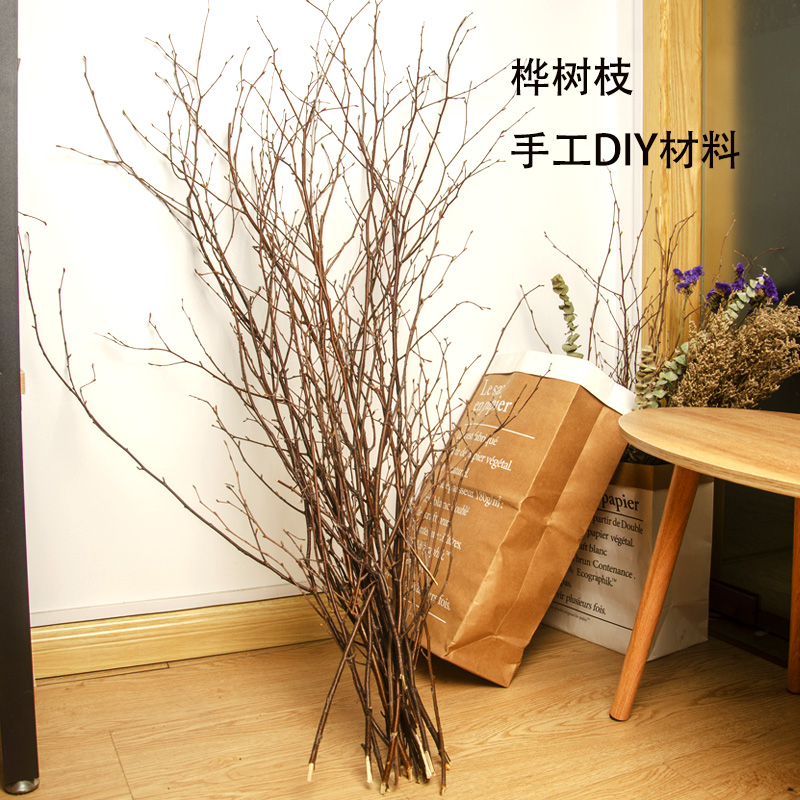 桦树枝 艺术插花干树枝幼儿园手工diy枯枝干花包创意