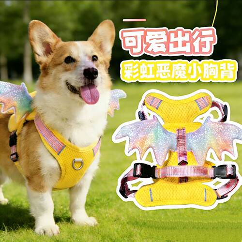 防挣脱防爆冲猫狗胸背牵引绳