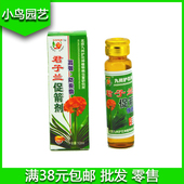 九州护花神君子兰促箭剂专用肥防夹箭营养液拔箭剂促开花 特价 包邮