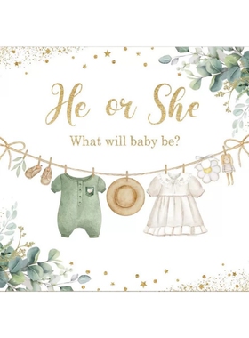 HE OR SHE 宝宝性别揭示迎婴派对背景布 BABY SHOWER
