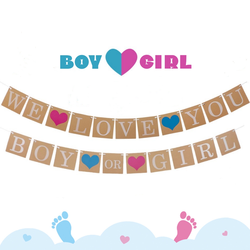 派对宝宝性别揭示boy拉旗