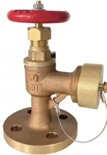 Variant 5747945485611