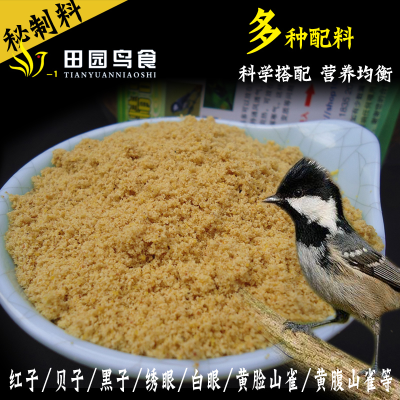 红子贝子点子白头翁山雀包邮克装