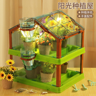 阳光房种植种菜儿童玩具花房观察科学小实验套装diy迷你种花带灯