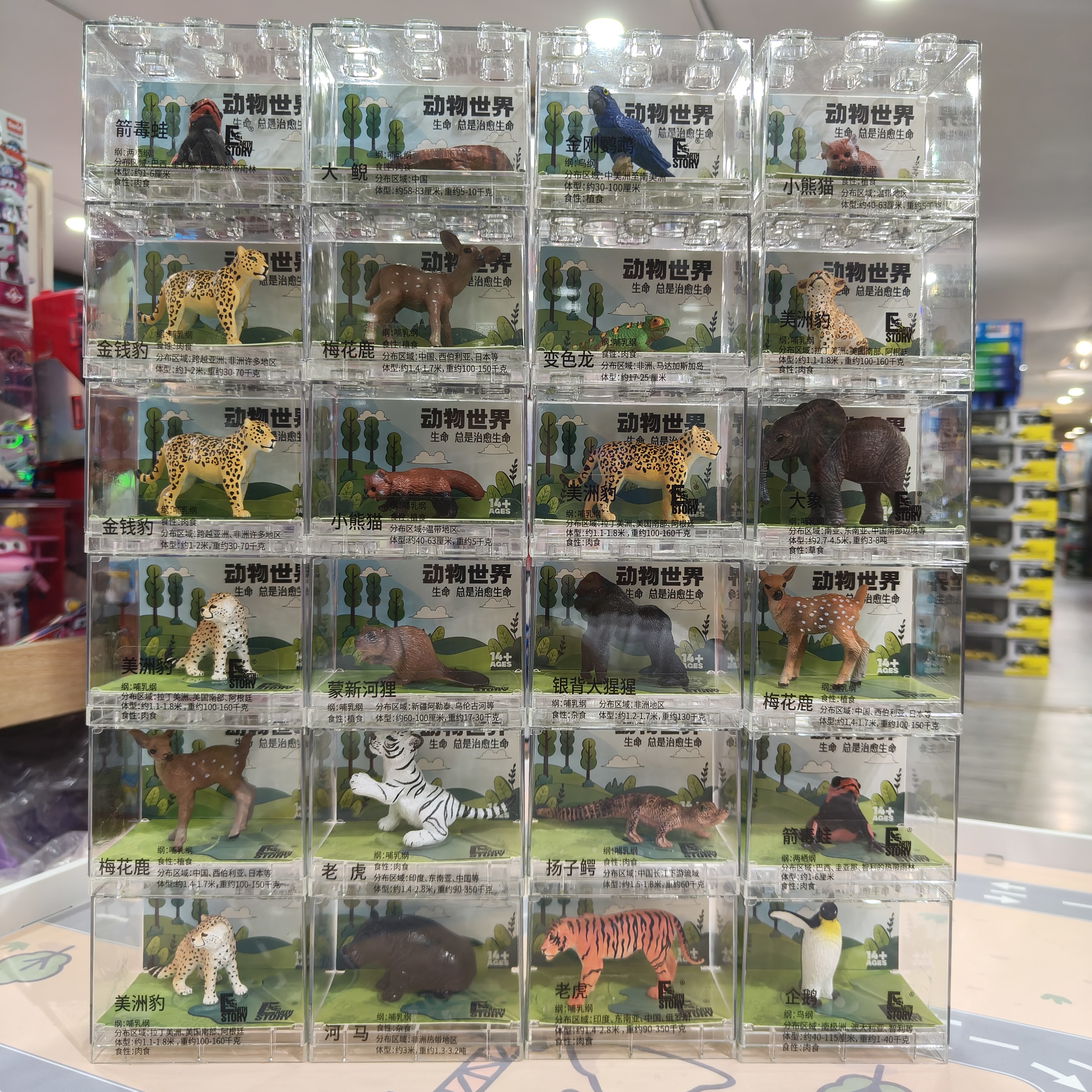 动物世界亚克力创意立体摆件老虎熊猫模型儿童玩具礼物男女孩礼品