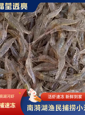2斤装小河虾淡水活虾速冻小虾米小米虾新鲜冷冻小白虾包邮