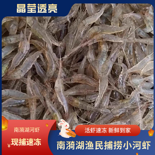 小河虾活虾速冻新鲜到家坏了包赔