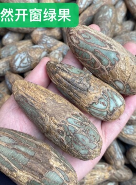 千眼菩提原籽原料果天然开窗绿色手串手把件精品单颗佛珠打磨挂件