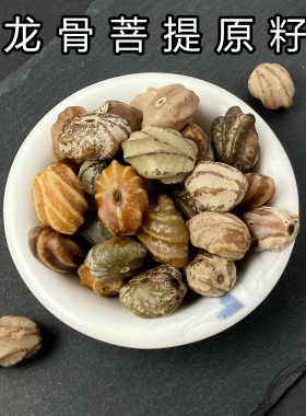 精选天然龙骨菩提原籽风化按斤称原生态diy菩提念珠文玩龙脊原料