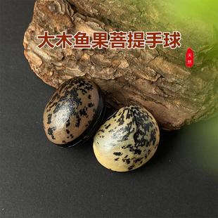 天然精品大号木鱼果菩提子手球散籽文玩把件配饰挂件小花蛤佛珠