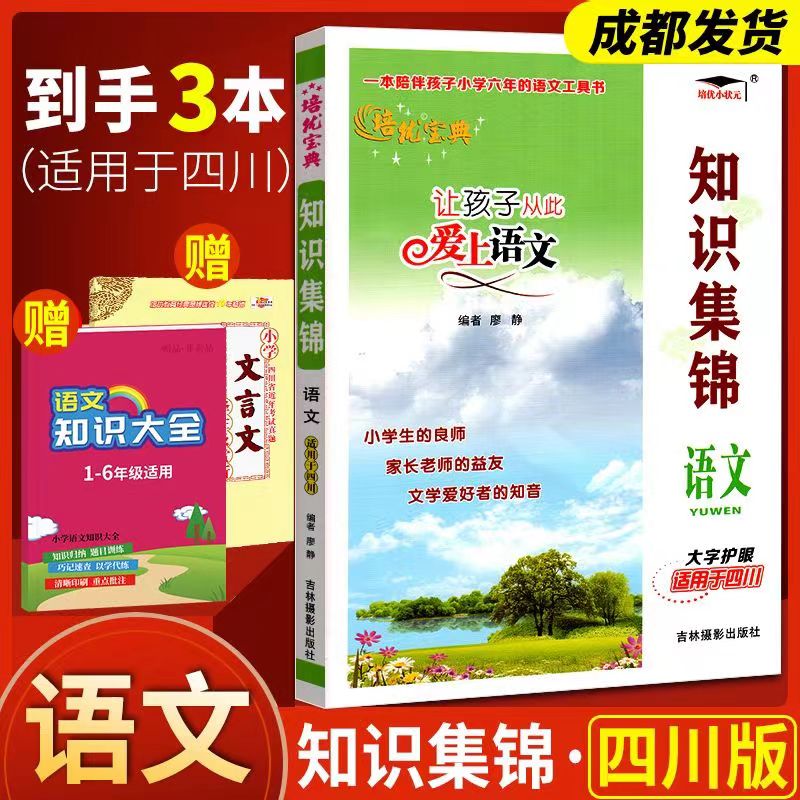 成都发货】小学语文知识集锦四川专版小升初知识大集结培优宝典让孩子从此爱上语文小学生四五六年级语文重点知识集锦基础知识大全-封面