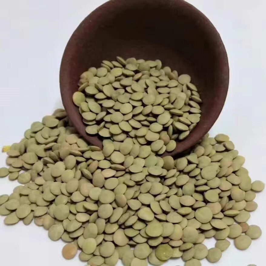 云南昭通金豌豆鸡眼豆小豌豆兵豆小扁豆凉粉豌豆五谷杂粮5斤包邮
