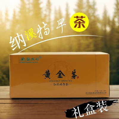 纳溪特早茶 黄金芽礼盒装绿茶一级茶叶 泸州特产