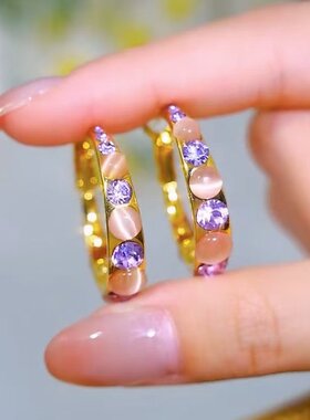 新款韩国紫色水钻耳圈女网红爆款轻奢气质百搭小众设计感耳环女