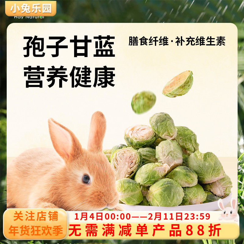 兔子零食孢子甘蓝冻干专用磨牙宠物蔬菜冻干补充营养仓鼠龙猫零食,宠物/宠物食品及用品,兔兔零食,淘宝优惠券,粉丝福利购,淘宝优惠卷