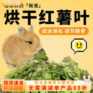保健草红薯叶兔子干草食用草大地瓜叶龙猫荷兰猪干草牧草营养保健