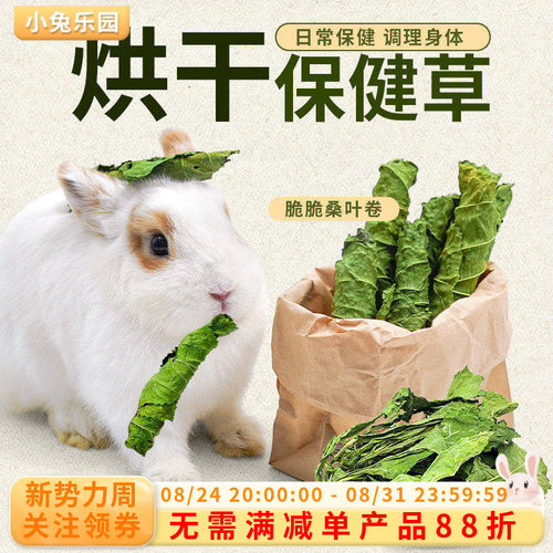 降火保健草桑叶卷蒲公英小宠零食