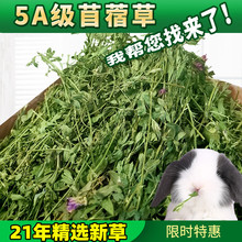 新草 烘干苜蓿草兔子龙猫粮食苜蓿草干草荷兰猪牧草粮毛重1KG