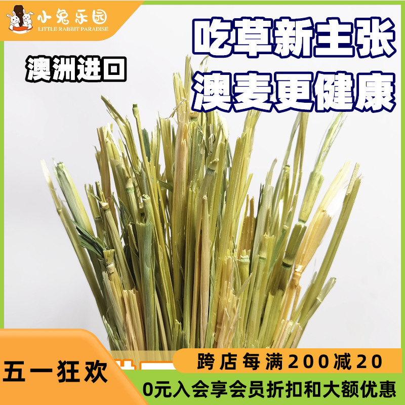 澳麦黄金燕麦草手挑版5A级一番进口兔子豚鼠龙猫干草500g绿澳麦 宠物/宠物食品及用品 兔兔干草 原图主图