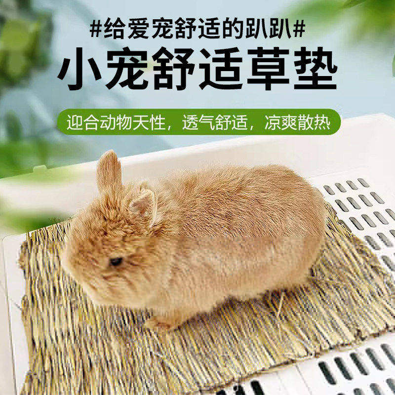 春夏兔子降温草窝草垫防止中暑龙猫豚鼠用品天然草编还原天性可食