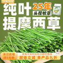 7A级北提烘干提摩西草纯叶几乎无杆适合挑嘴兔兔豚鼠龙猫干草500g