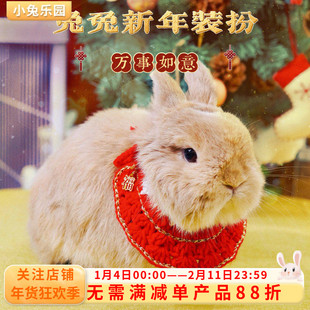兔子衣服宠物兔子围脖项圈可调节龙猫荷兰猪过年喜庆衣服颈圈饰品