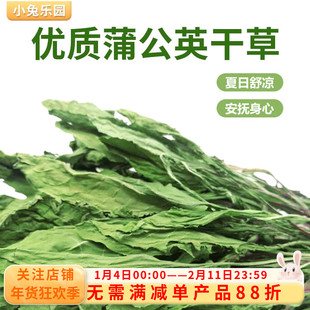 蒲公英干草兔子食用草粮草清热降火抗菌消炎祛暑荷兰猪龙猫保健草