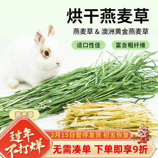 燕麦草兔子澳麦草澳洲黄金燕麦草烘干兔子草荷兰猪龙猫干草兔饲料