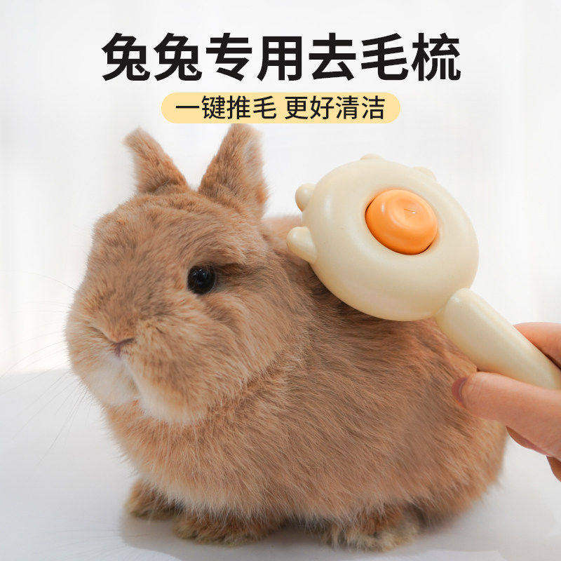 兔子梳毛器兔毛梳子侏儒兔垂耳兔龙猫梳毛器去浮毛按摩清洁用品