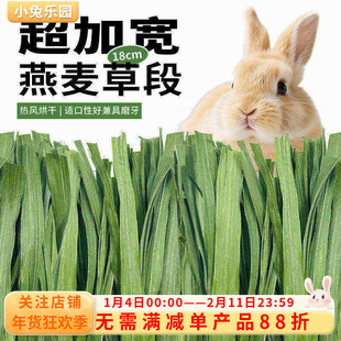 燕麦草烘干兔子草纯叶草段高纤维补充营养草饲料豚鼠荷兰猪干草