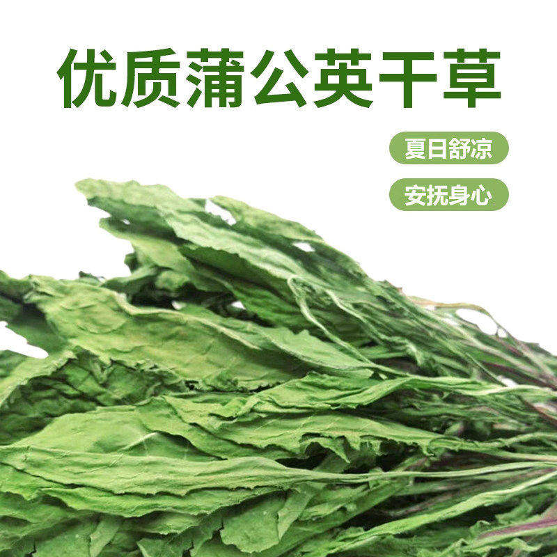 蒲公英干草兔子食用草粮草清热降火祛暑荷兰猪龙猫保健草