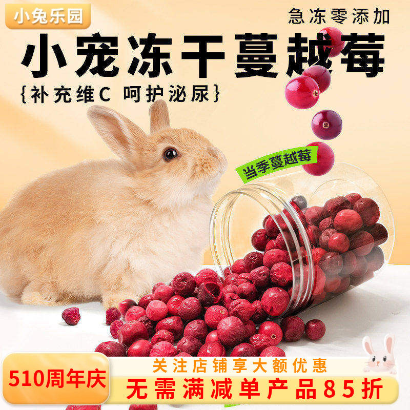 兔子水果干兔子零食冻干蔓越莓磨牙补充营养助消化荷兰猪龙猫零食