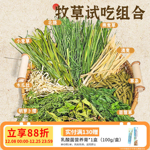 兔子试吃干草牧草主食草饲料