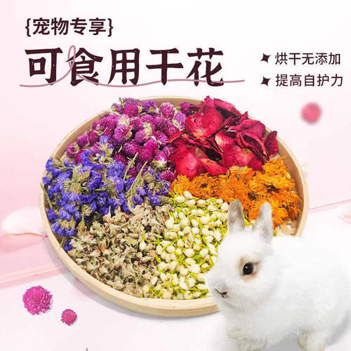 兔兔保健花草合集菊花勿忘我