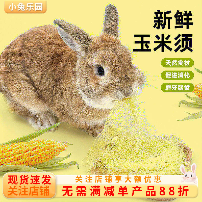 兔子零食专用新鲜玉米须荷兰猪龙猫零食补充营养奖励零食幼兔粮食