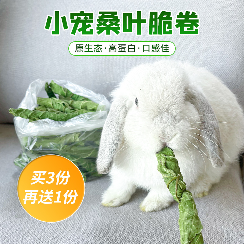 新采摘烘干手摘桑叶脆卷兔子豚鼠龙猫零食补充营养蛋白防上火50g 宠物/宠物食品及用品 兔兔零食 原图主图