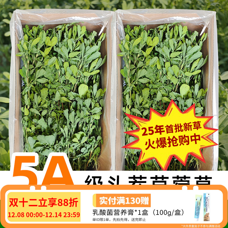 25年新草！！高品质头茬苜蓿草