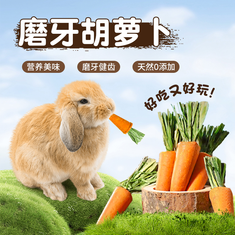 兔子磨牙零食胡萝卜造型解闷磨牙