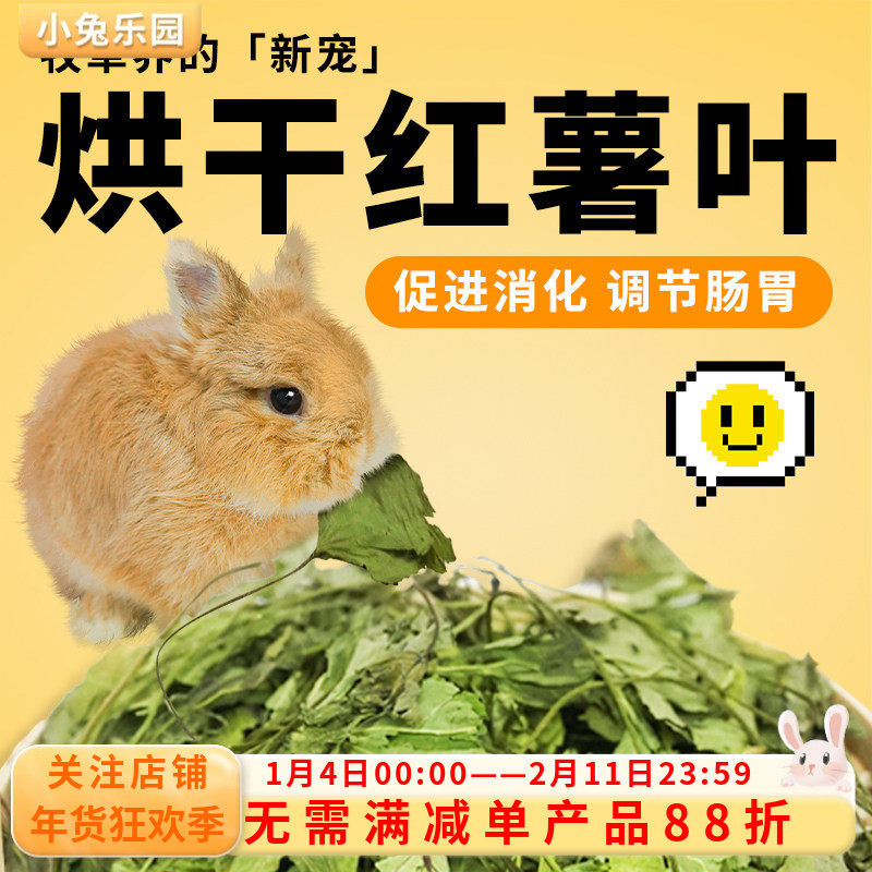 保健草红薯叶兔子干草食用草大地瓜叶龙猫荷兰猪干草牧草营养保健,宠物/宠物食品及用品,兔兔干草,淘宝优惠券,粉丝福利购,淘宝优惠卷
