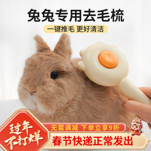 兔子梳毛器兔毛梳子侏儒兔垂耳兔龙猫梳毛器去浮毛按摩清洁用品