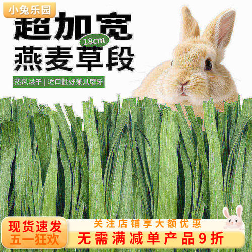 燕麦草烘干兔子草纯叶草段草饲料