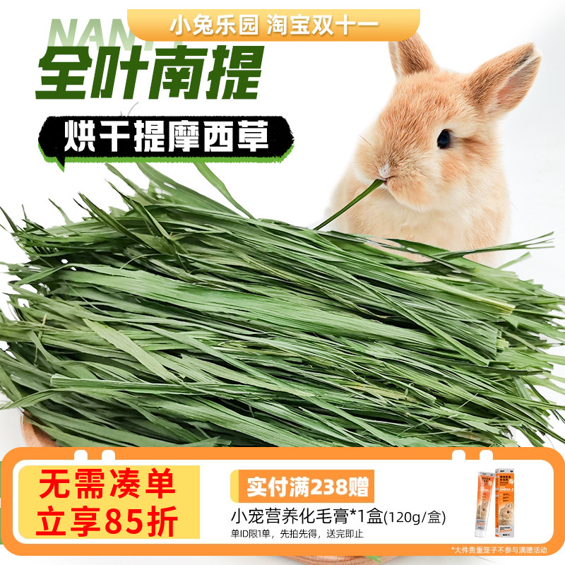 南提摩西草宽大叶片柔软细嫩