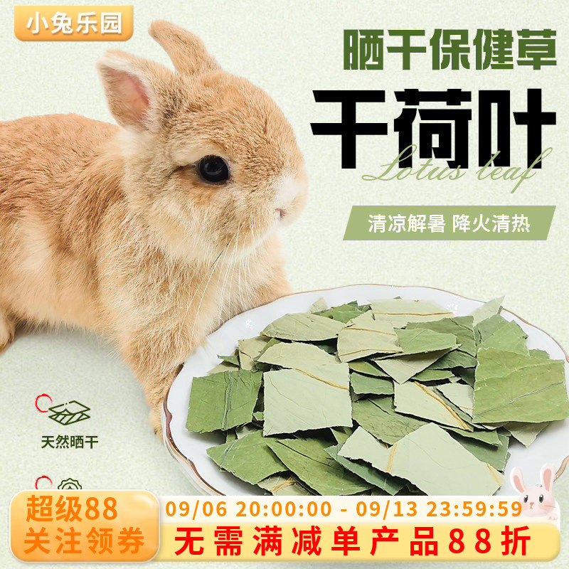 兔子草荷叶干保健草清热降火干草龙猫豚鼠磨牙零食草兔子食用草
