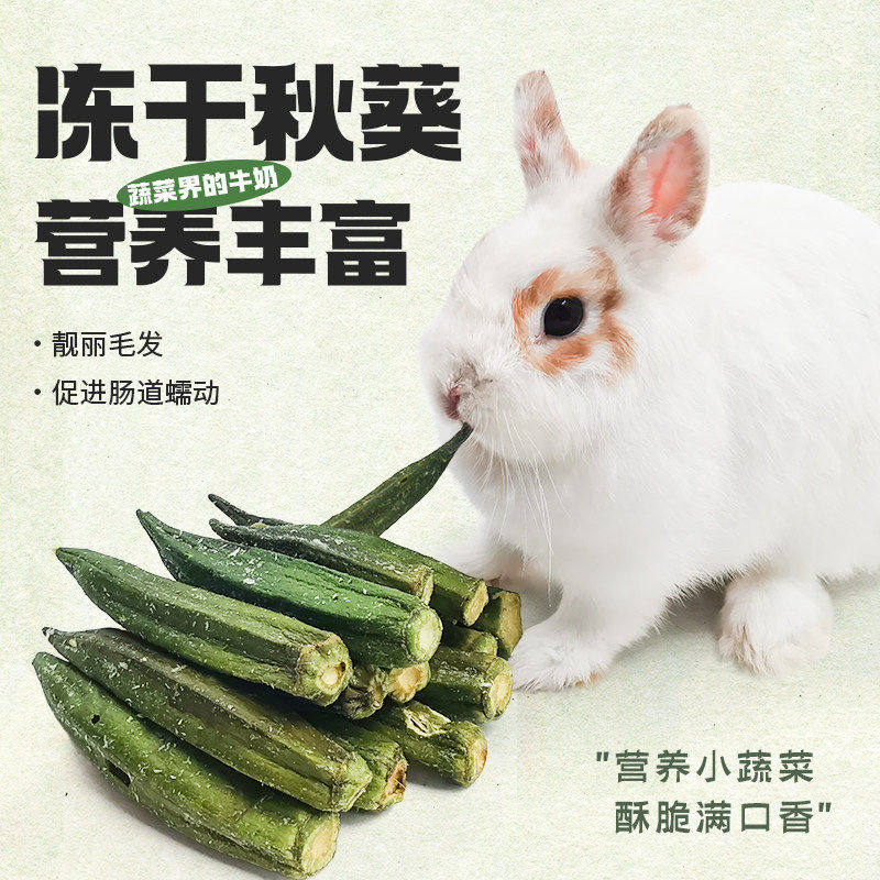 兔子磨牙零食冻干秋葵龙猫豚鼠荷兰猪零食健康天然水果脆补充营养