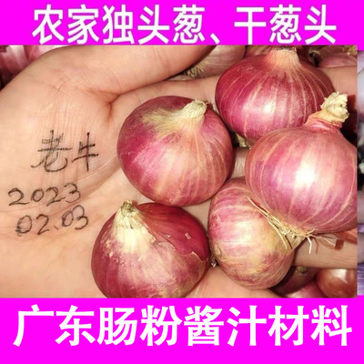 干葱头新鲜红葱头炸葱油酥阳台