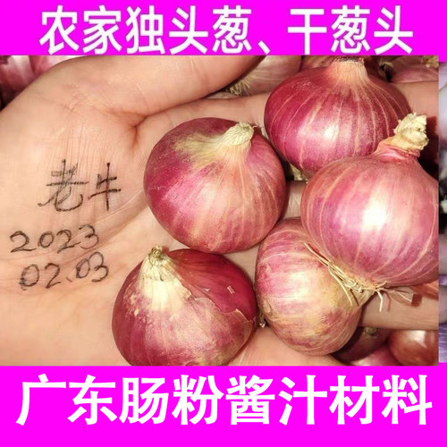 干葱头新鲜红葱头炸葱油酥阳台