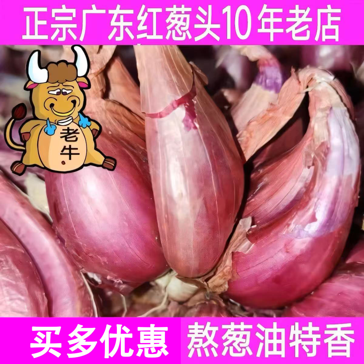 广东本地红葱头干葱头火葱正宗新鲜小香葱熬葱油特香商用产地包邮