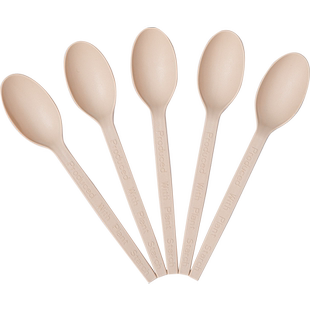 云蕾一次性勺子汤勺饭勺长柄食品级可降解玉米基甜品小勺子家商用