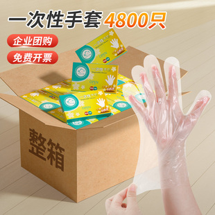 透明食品接触PE隔离检查手套整箱4800只 云蕾一次性塑料手套盒装